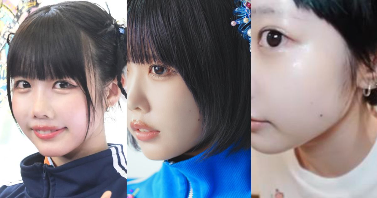 活動歴および当時の関連ビジュアル記録